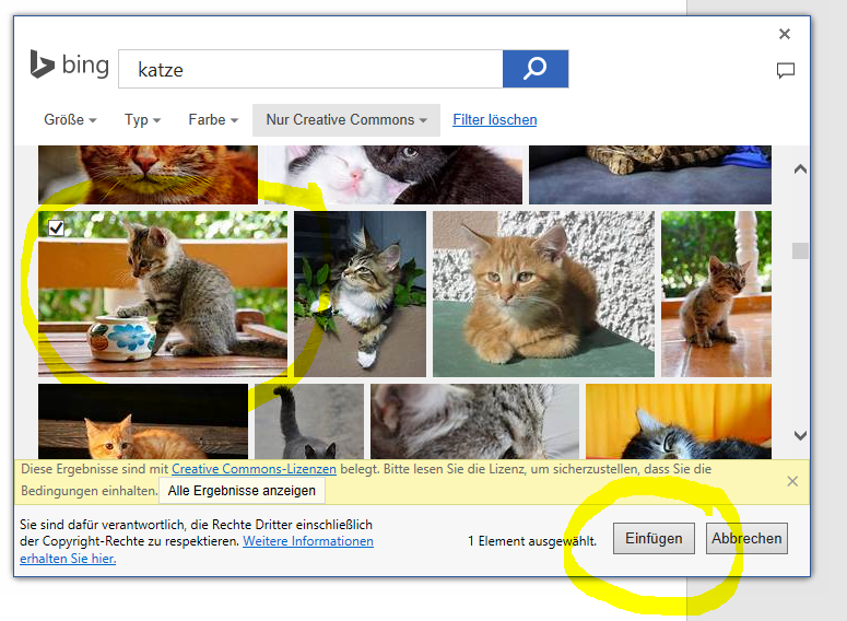 Bild aus Bildersuche Bing in Word einfuegen