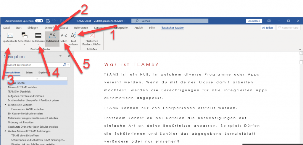 Einstellungen Plastischer Reader in Word