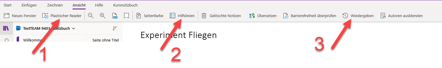 OneNote Funktionen unter ANSICHT